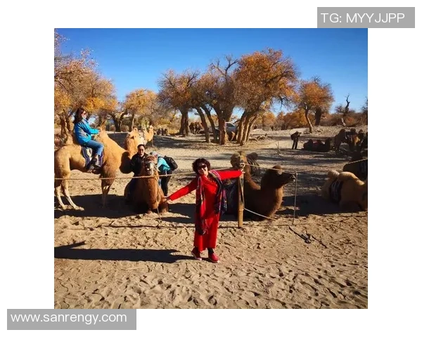 邱子健足球之路：从青涩少年到职业球员的成长历程与梦想追逐